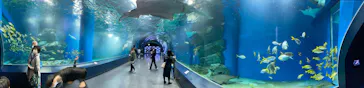 マクセル アクアパーク品川に投稿された画像（2023/3/23）