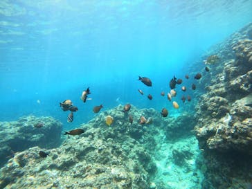 沖縄マリンサービス碧に投稿された画像（2023/3/23）