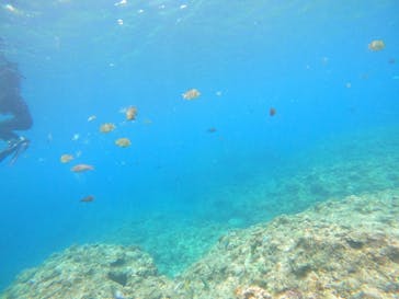 沖縄マリンサービス碧に投稿された画像（2023/3/23）