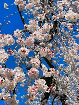 東武動物公園に投稿された画像（2023/3/23）