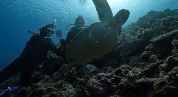 DIVING-SHOP SUNSに投稿された画像（2023/3/23）