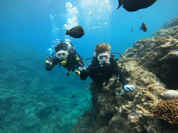 武藤潜水に投稿された画像（2023/3/23）