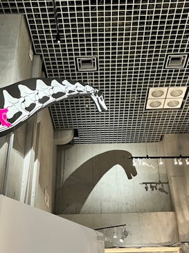 特別展「恐竜博2023」に投稿された画像（2023/3/23）