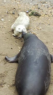 伊豆・三津シーパラダイスに投稿された画像（2023/3/23）