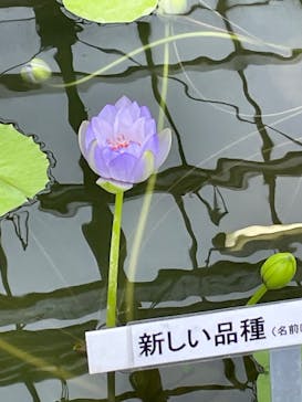 熱川バナナワニ園に投稿された画像（2023/3/23）