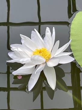 熱川バナナワニ園に投稿された画像（2023/3/23）