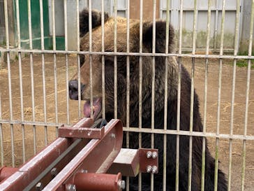 東武動物公園に投稿された画像（2023/3/23）