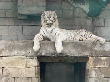 東武動物公園に投稿された画像（2023/3/23）
