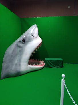 アクアワールド茨城県大洗水族館に投稿された画像（2023/3/23）