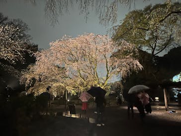 六義園に投稿された画像（2023/3/23）