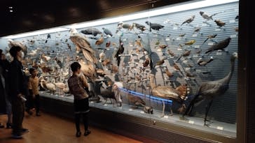 国立科学博物館に投稿された画像（2023/3/23）