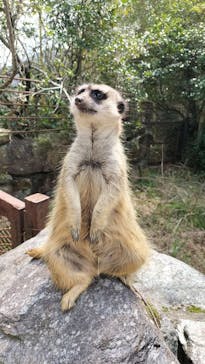 長崎バイオパークに投稿された画像（2023/3/23）