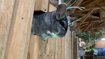 長崎バイオパークに投稿された画像（2023/3/23）