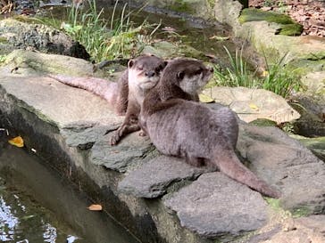 長崎バイオパークに投稿された画像（2023/3/23）