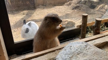 長崎バイオパークに投稿された画像（2023/3/23）