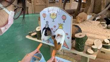 長崎バイオパークに投稿された画像（2023/3/23）