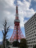 東京タワーに投稿された画像（2023/3/23）