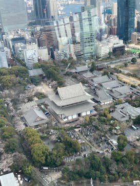 東京タワーに投稿された画像（2023/3/23）