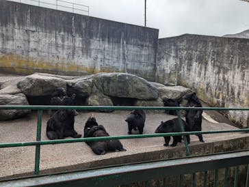 奥飛騨クマ牧場に投稿された画像（2023/3/23）