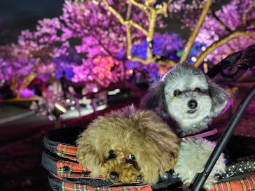 せんだい農業園芸センター　みどりの杜に投稿された画像（2023/3/23）