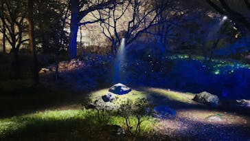 六義園に投稿された画像（2023/3/23）