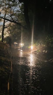 六義園に投稿された画像（2023/3/23）