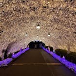 伊豆ぐらんぱる公園に投稿された画像（2023/3/23）