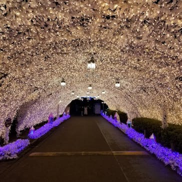 伊豆ぐらんぱる公園に投稿された画像（2023/3/23）