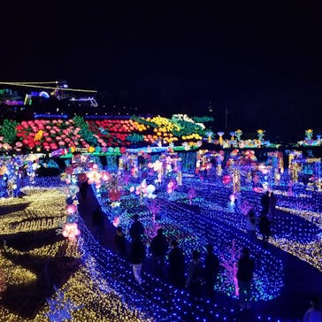 伊豆ぐらんぱる公園に投稿された画像（2023/3/23）