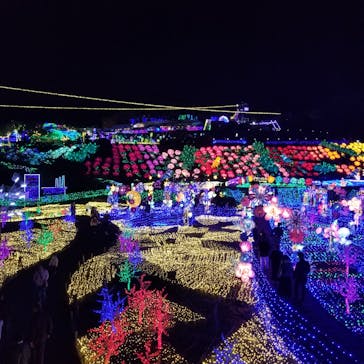 伊豆ぐらんぱる公園に投稿された画像（2023/3/23）