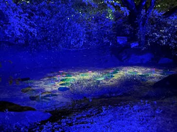 六義園に投稿された画像（2023/3/23）