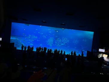沖縄美ら海水族館に投稿された画像（2023/3/23）