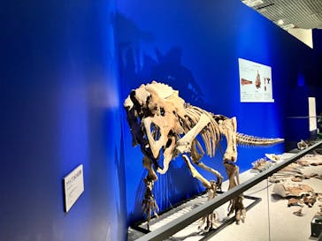 特別展「恐竜博2023」に投稿された画像（2023/3/23）