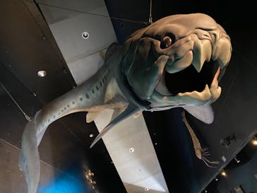 環境水族館アクアマリンふくしまに投稿された画像（2023/3/23）