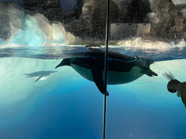 名古屋港水族館に投稿された画像（2023/3/23）