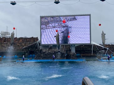 名古屋港水族館に投稿された画像（2023/3/23）