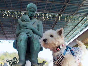 野外民族博物館 リトルワールドに投稿された画像（2023/3/23）