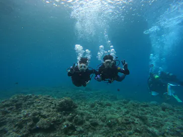 武藤潜水に投稿された画像（2023/3/24）