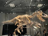 特別展「恐竜博2023」に投稿された画像（2023/3/24）