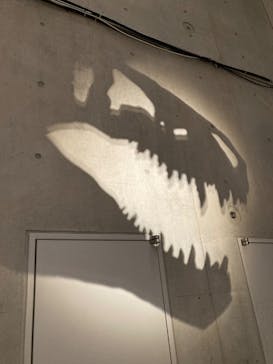 特別展「恐竜博2023」に投稿された画像（2023/3/24）