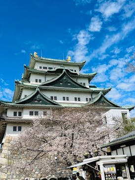 名古屋城に投稿された画像（2023/3/24）