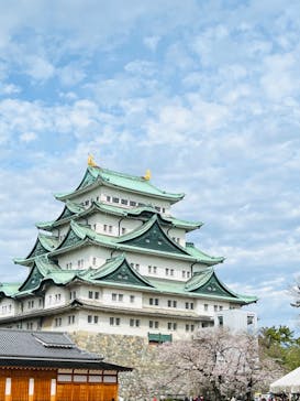 名古屋城に投稿された画像（2023/3/24）