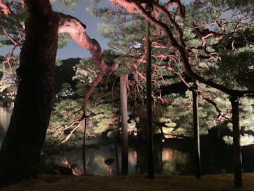 六義園に投稿された画像（2023/3/24）