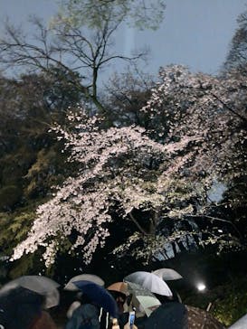 六義園に投稿された画像（2023/3/24）