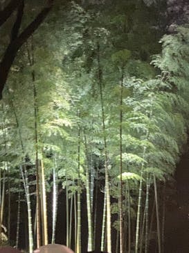 六義園に投稿された画像（2023/3/24）