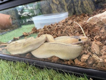 しろとり動物園に投稿された画像（2023/3/24）