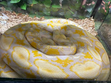 しろとり動物園に投稿された画像（2023/3/24）