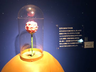 星の王子さまミュージアム 箱根サン=テグジュペリに投稿された画像（2023/3/24）