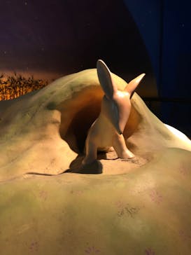 星の王子さまミュージアム 箱根サン=テグジュペリに投稿された画像（2023/3/24）