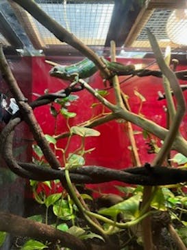 カワスイ 川崎⽔族館に投稿された画像（2023/3/24）